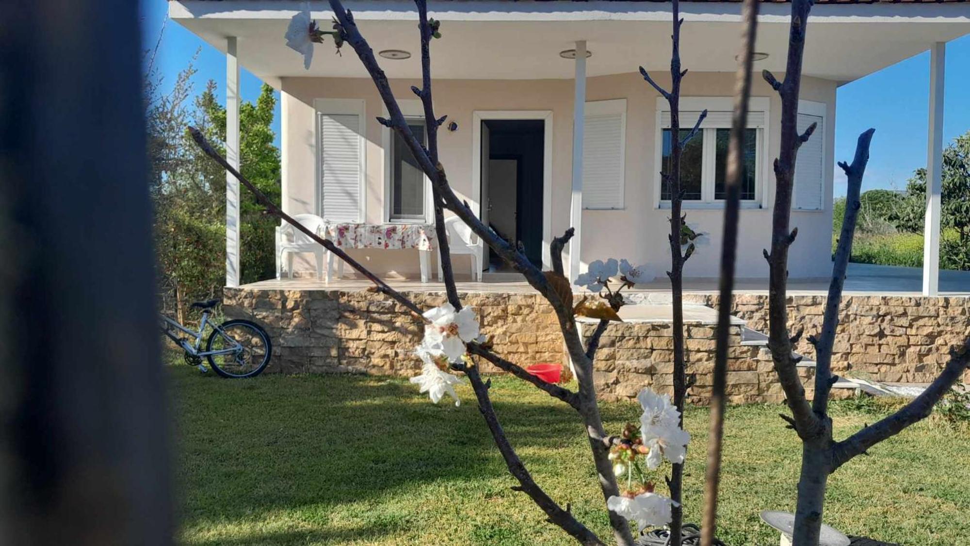 Dina House
